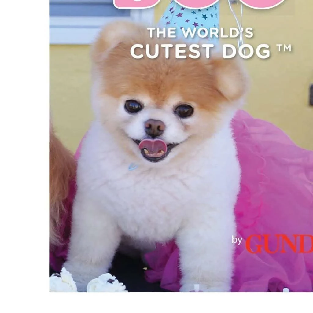 GUND Itty Bitty Boo Tutu, Plush Toy 5 GUND Itty Bitty Boo Tutu, Plush Toy - Image 3