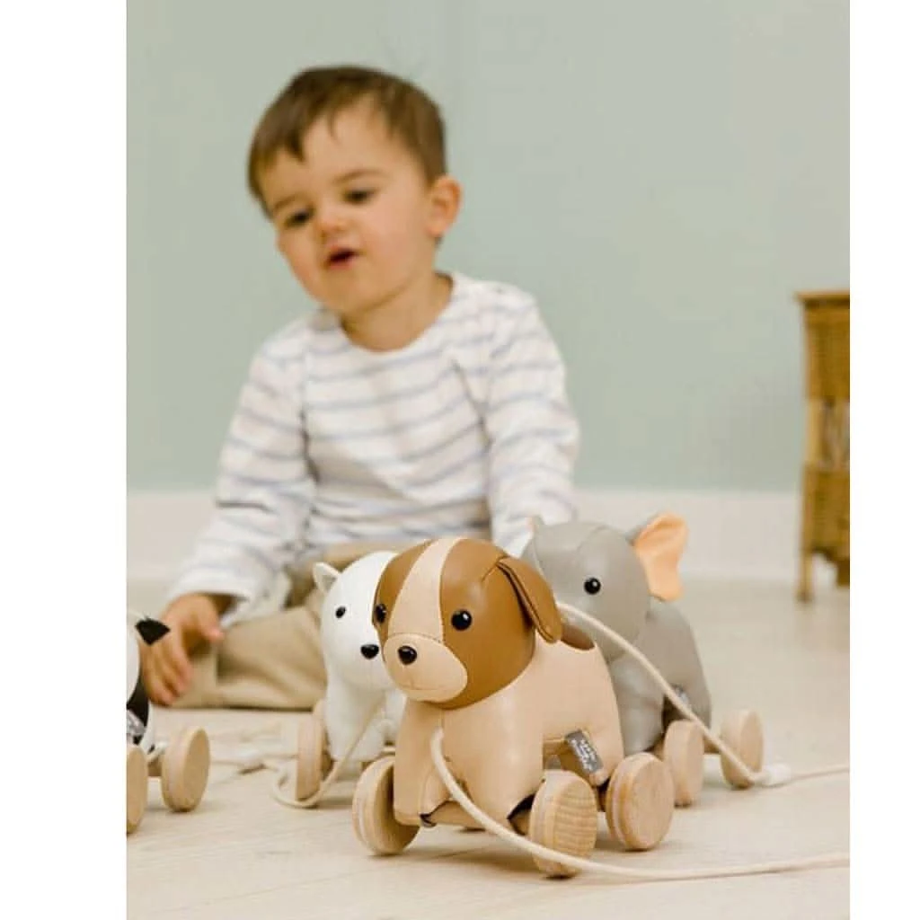 Little Big Friends Adrien The Dog Pull Along 6 Little Big Friends Adrien The Dog Pull Along - Image 4