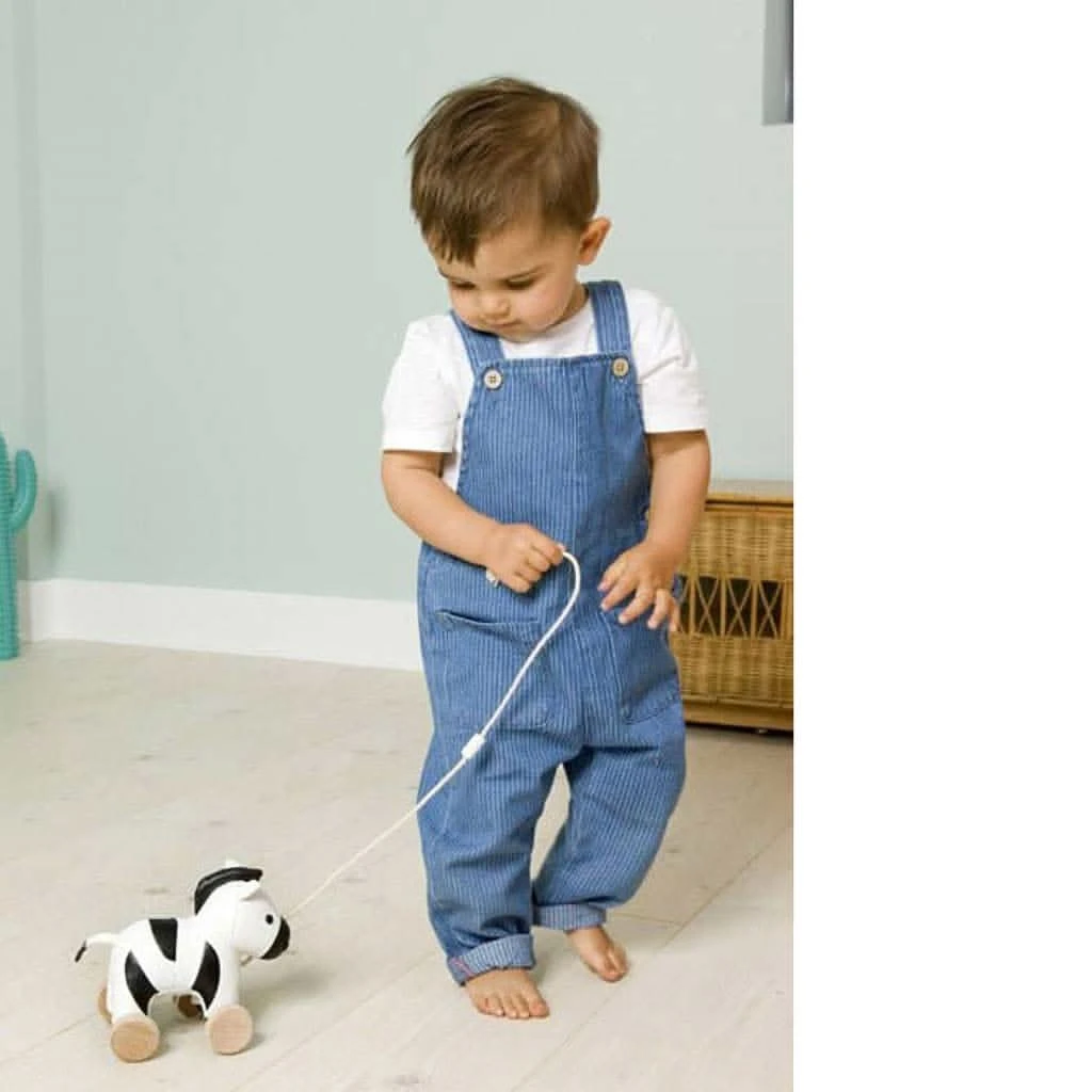 Little Big Friends Robert The Zebra Pull Along 4 Little Big Friends Robert The Zebra Pull Along - Image 2