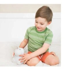 Lumi Pets Hippo Night Light -Baby Product Specialty Store lumiworld kids led night light hippo lamp with remotelum4093anb babyanb baby 591433 ANB Baby 24 1f6540dc 730e 4ea6 a976 eafa25404838