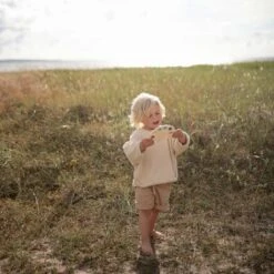 Mushie Paint Palette Press Toy -Baby Product Specialty Store mushie paint palette press toymusmdt3001anb babyanb baby 717085