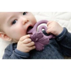 Natruba Hawaii Flower Teether, Purple -Baby Product Specialty Store natruba hawaii flower teether purplenattehwi01planb babyanb baby 565180