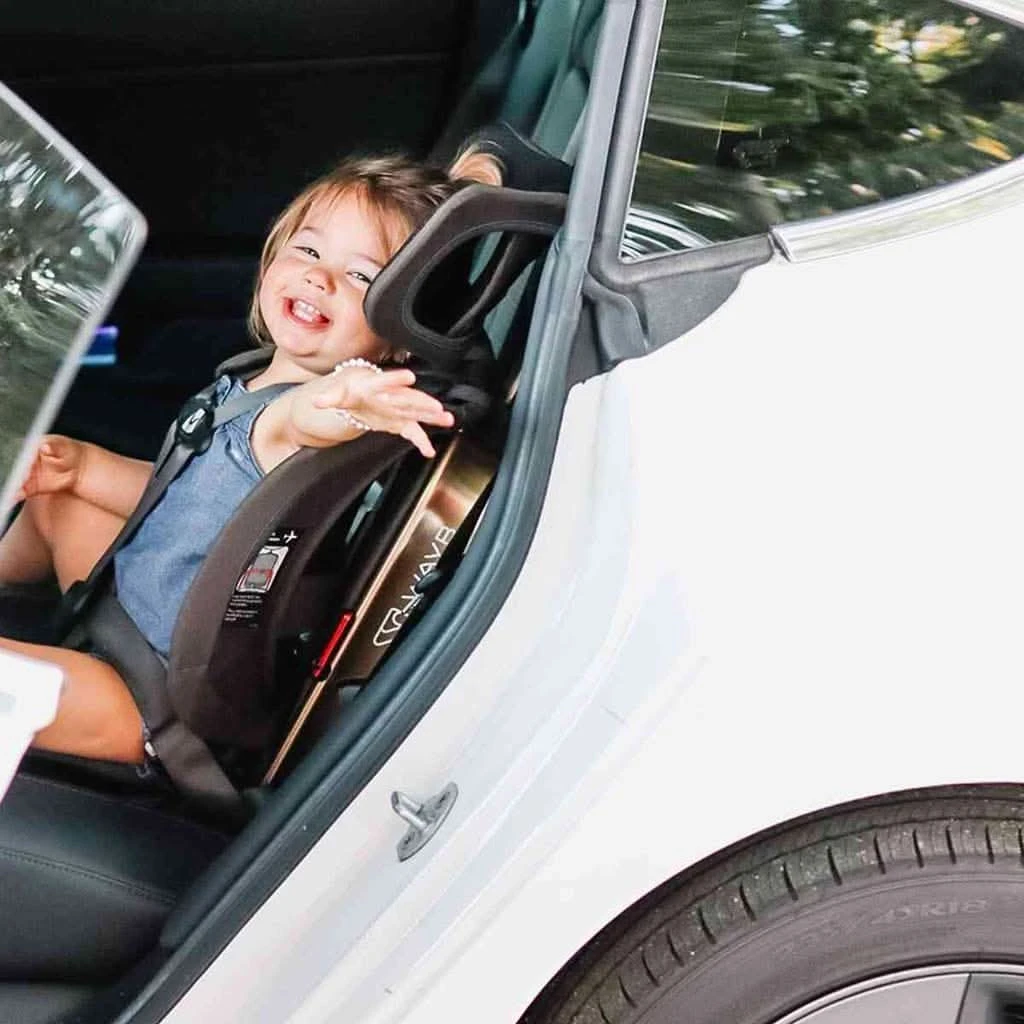 Wayb Vehicle Protector, Onyx 8 Wayb Vehicle Protector, Onyx - Image 6