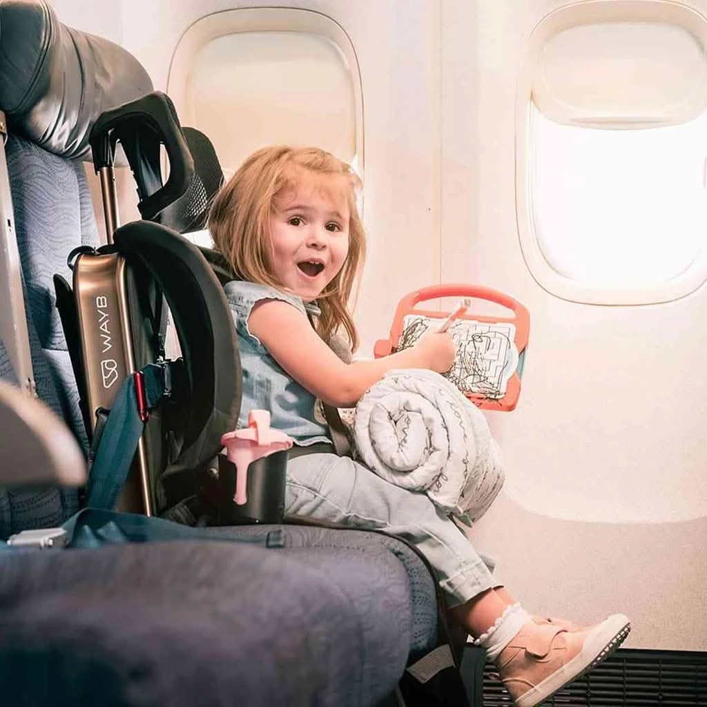 Wayb Vehicle Protector, Onyx 4 Wayb Vehicle Protector, Onyx - Image 2